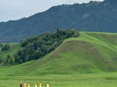 -新疆那拉提国家旅游度假区