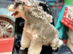 -FAELING PETS美天灵宠物(合生汇店)