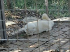 -武汉紫薇都市田园