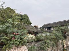 -鸣鹤古镇