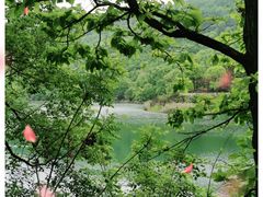 -桃花岭景区