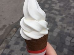 -富豪雪糕车流动点(尖沙咀店)