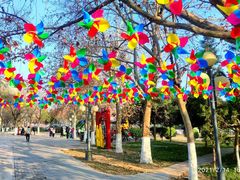 -咸阳湖景区-古渡公园