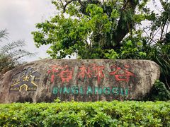 -海南槟榔谷黎苗文化旅游区