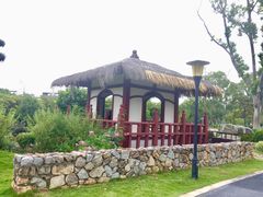 -东莞植物园