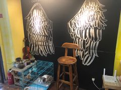 -志龙皇冠吃货椰子铺