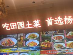 -杨厨的田园饭店(长城路店)