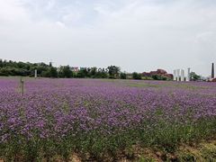 -西海岸生态观光园