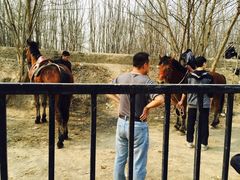 -西安汉城湖景区