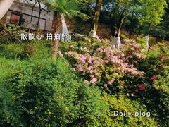 -重庆平顶山公园