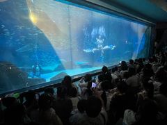 -海合安成都极地海洋公园
