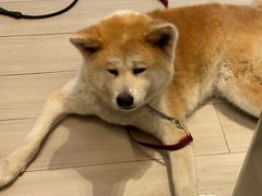 -YCHL Studios健身工作室(市二宫店)
