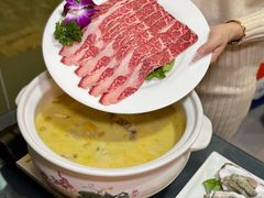 -金龙·打边炉(南京西路店)
