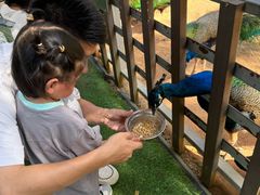 -深圳野生动物园