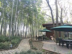 -同里国家湿地公园