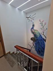 -德绣·机器野生眉发际线·美瞳线半永久