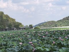 -东钱湖旅游度假区