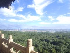 -灵谷景区