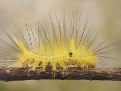 -上海昆虫博物馆