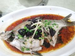 榄角蒸边鱼-茂港柏香(侨港路店)