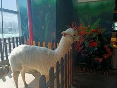 -昆明大悦城未来动物城(螺蛳湾中心店)