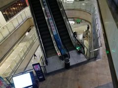 -蓝钻天成