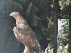 -吉林省自然博物馆