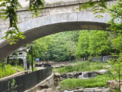 -白水寺森林公园