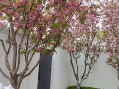 -静之湖度假区