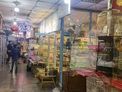 -宝鸡东道花鸟鱼虫市场(吉利花园商场店)