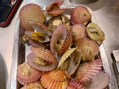 煮扇贝-腾格勒烤羊腿