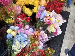 -越秀西湖花市(广州城市广场花卉店)