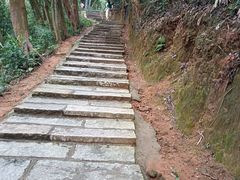 -黄埔油麻山森林公园