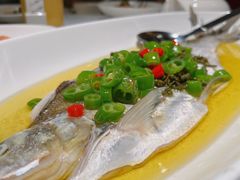 青花椒蒸白水鱼-荣兴酒家(徐家汇店)