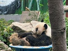 -南昌动物园