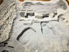 -洛阳周王城天子驾六博物馆