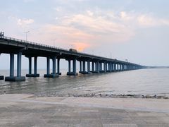 -宝安西湾红树林湿地公园