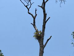 -热带雨林自然公园