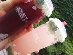 -鸡鸣赐茶(鸡鸣寺路店)
