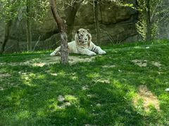 -北京野生动物园