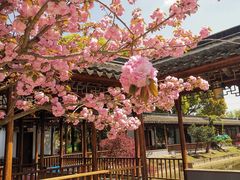 -渭塘酒家(生态园店)