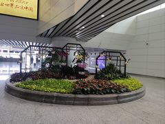 -广州白云国际机场-T2航站楼