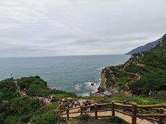 -杨梅坑
