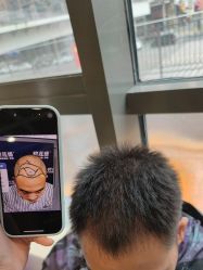 -碧莲盛·不剃发植发