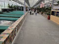 -长春青怡坊鲜花批发(青怡坊花鸟市场店)