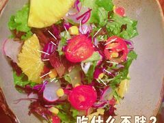 -雀舞云南菜(天津天河城购物中心店)