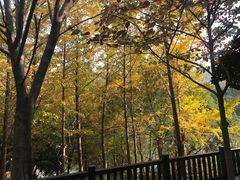 -白马涧龙池景区
