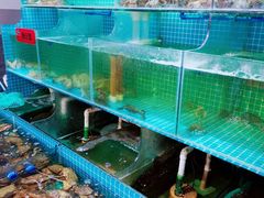水产区-三妹小龙虾·黄油蟹(华侨城总店)