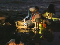 -宝安西湾红树林湿地公园