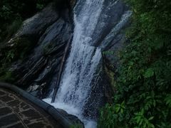 -苍山感通索道